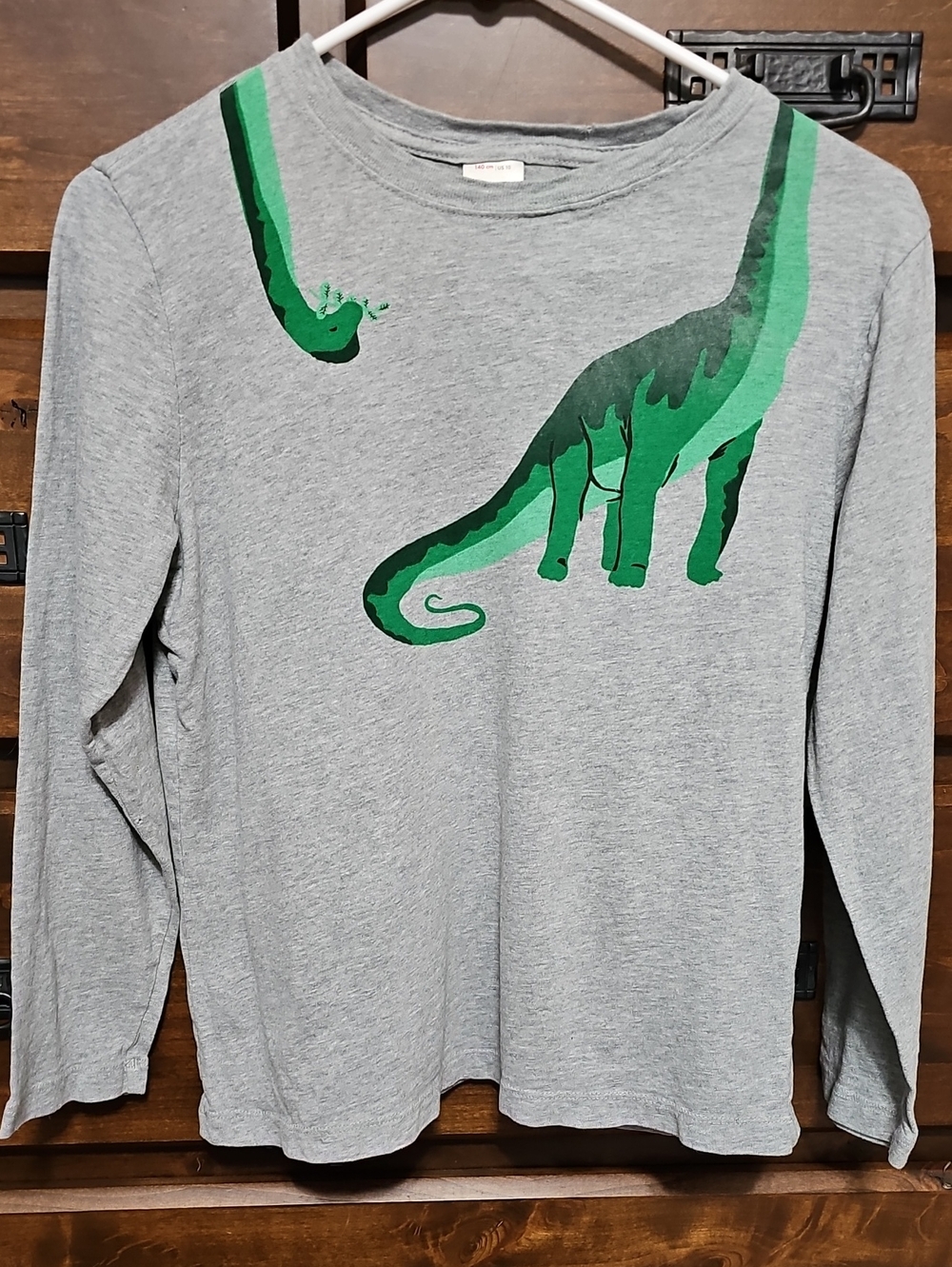 Hanna Andersson Dinosaur T-shirt